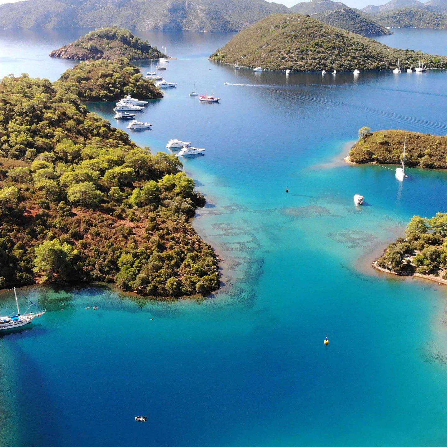 gocek